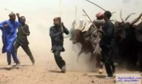 Herdsmen attack community in Adamawa, kills one hunter and injures 5 others